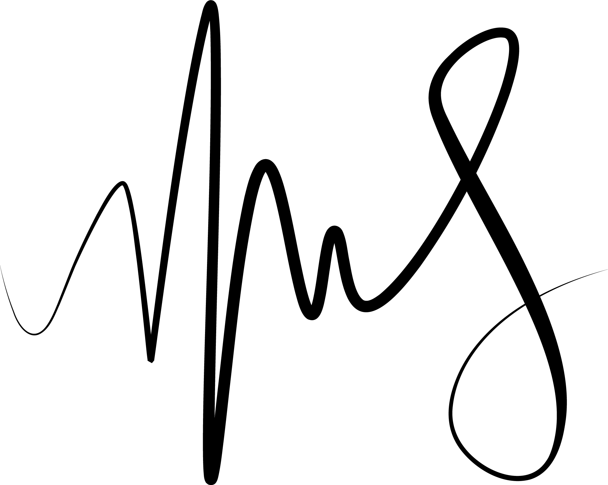 A logo with the initials MS